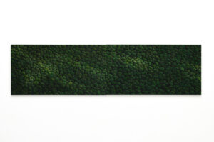 Franco Passalacqua - Compost Dittico - 2025 - Studio la Città - Verona - Contemporary Art
