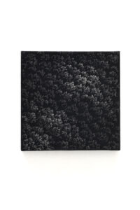 Franco Passalacqua - Compost alla Luna - 2025 - Studio la Città - Verona - Contemporary Art